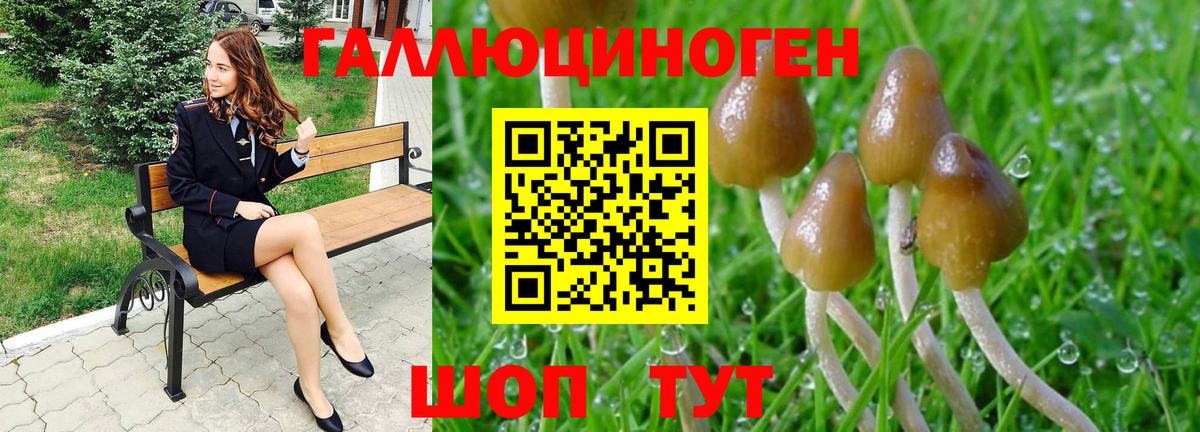 Псилоцибиновые грибы мицелий  Вход с VPN  Кореновск 